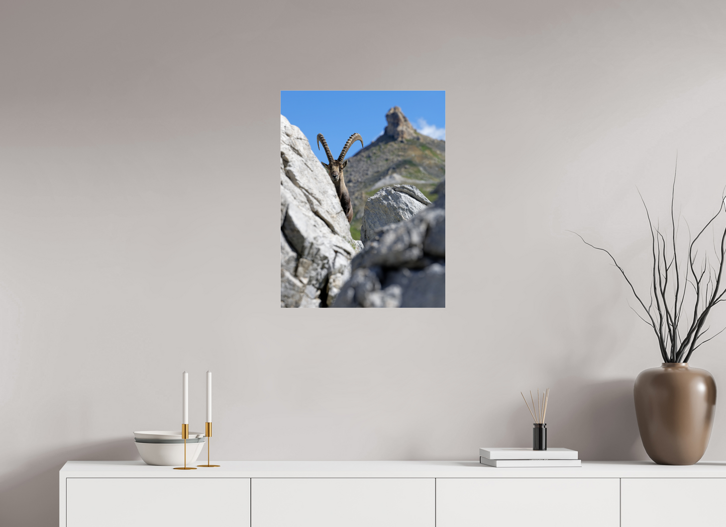 Bouquetin / Ibex