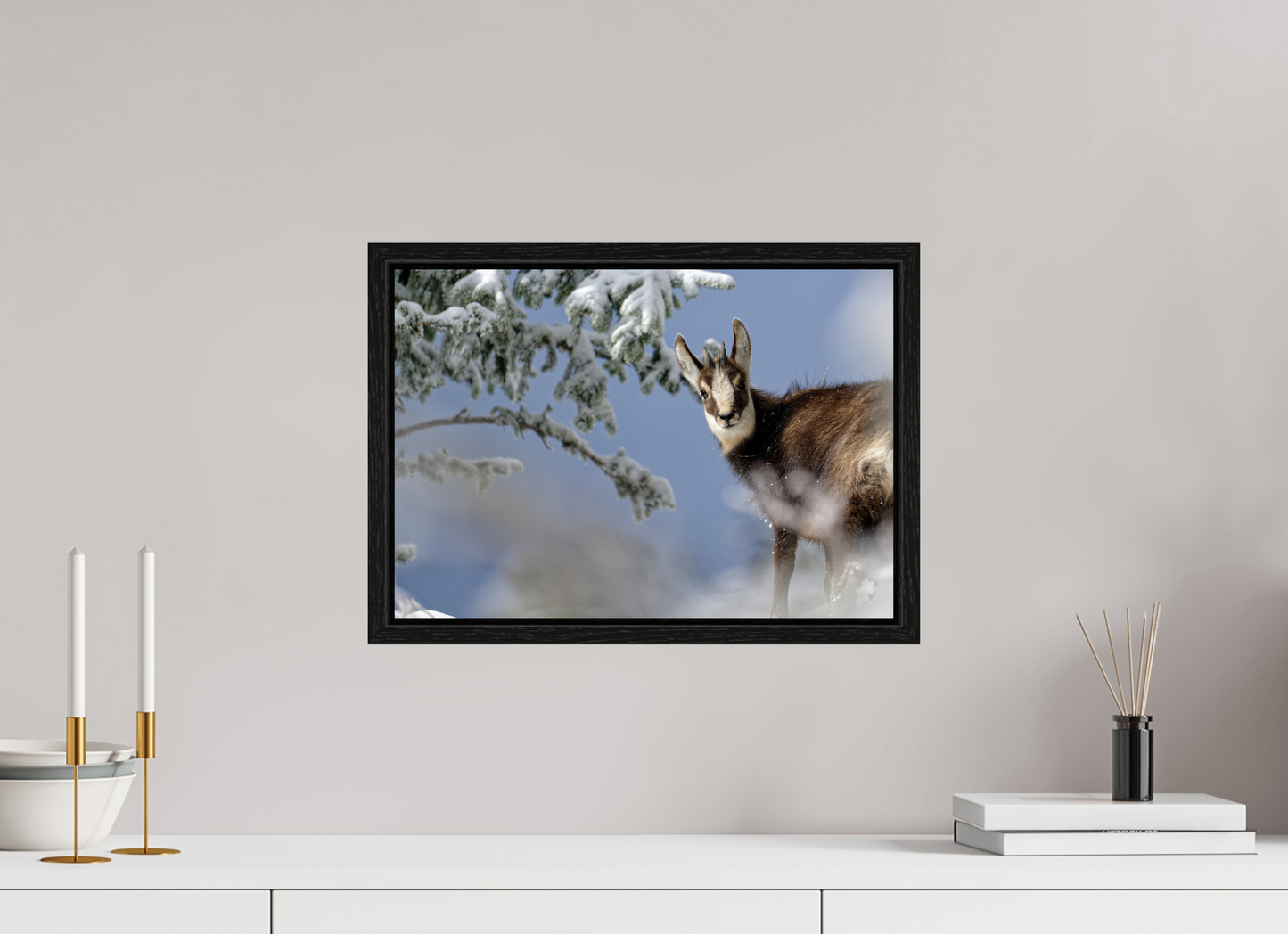 Chamois