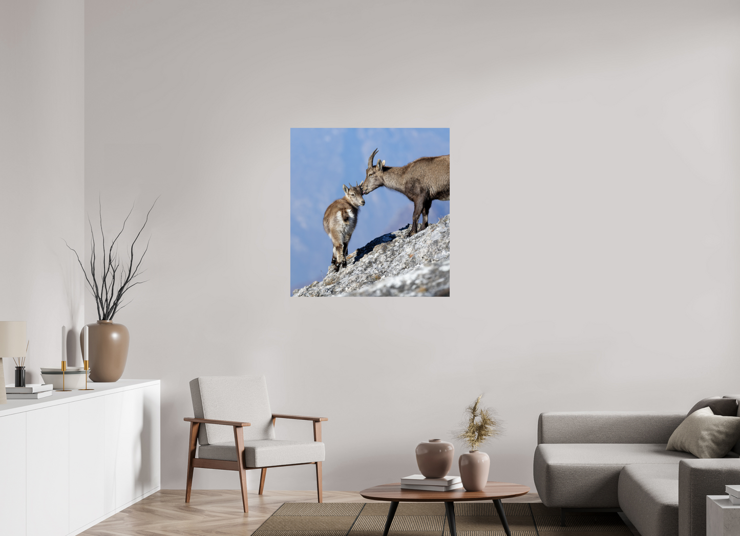 Bouquetin / Ibex
