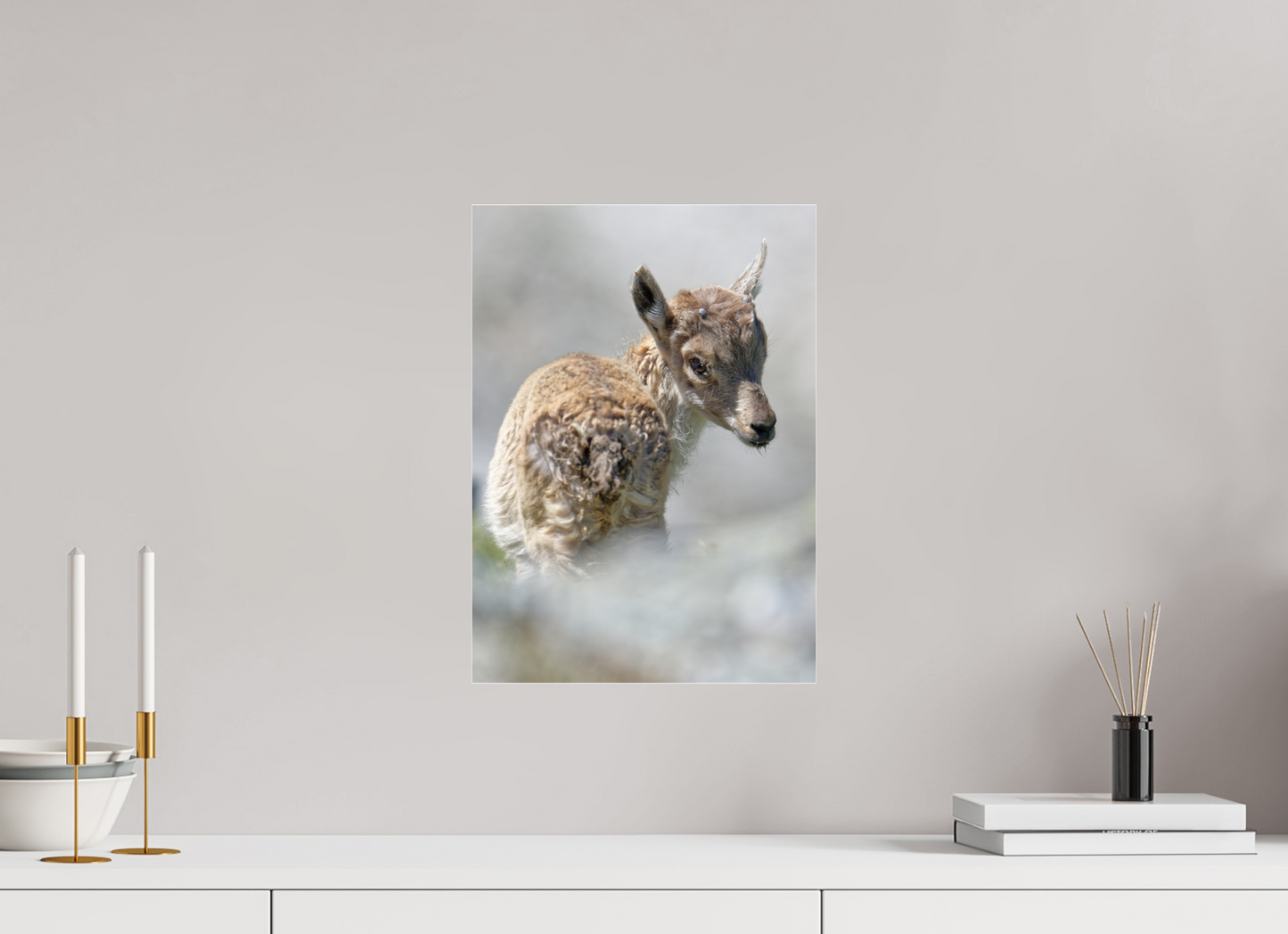 Bouquetin / Ibex