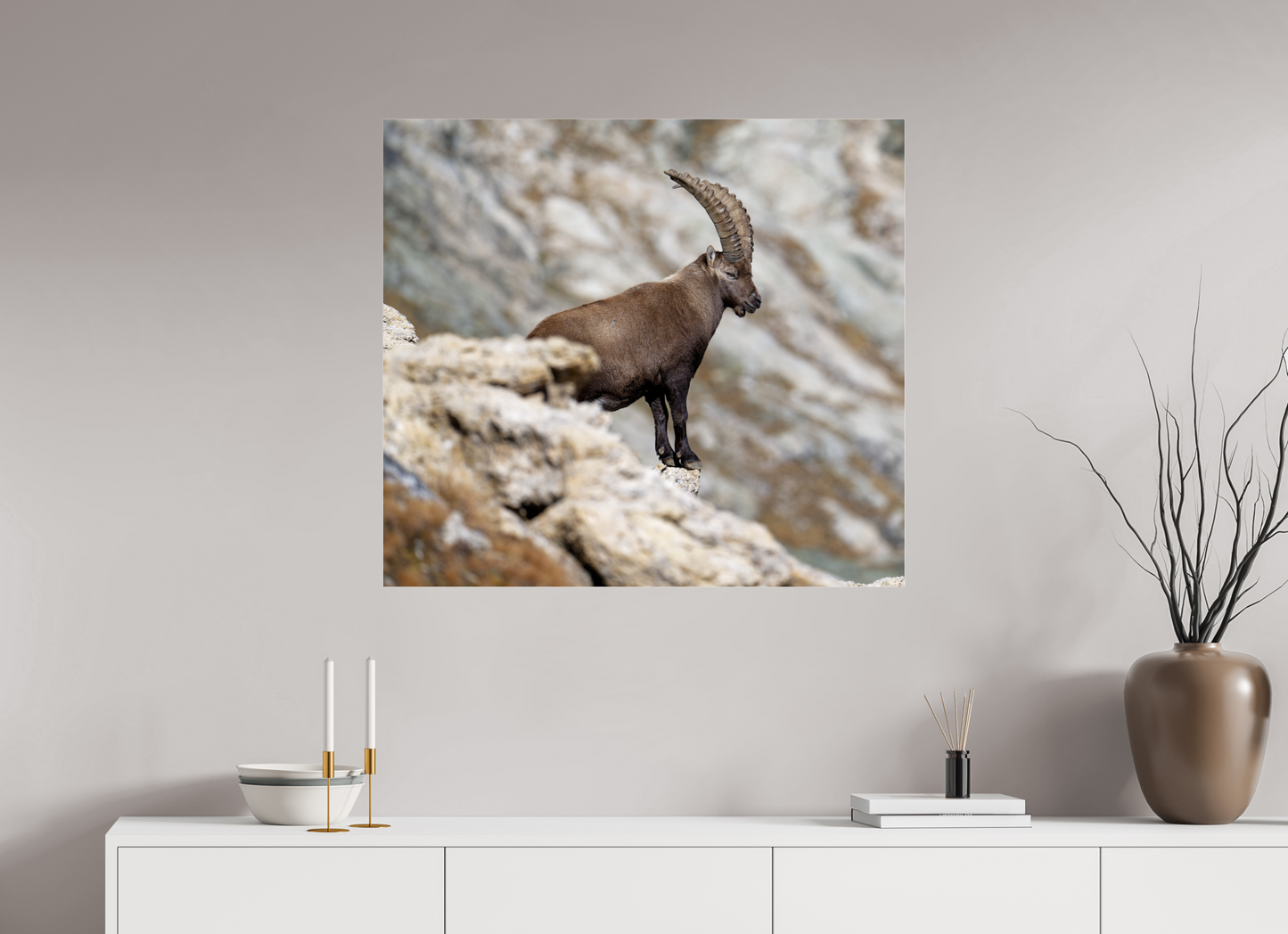 Bouquetin / Ibex