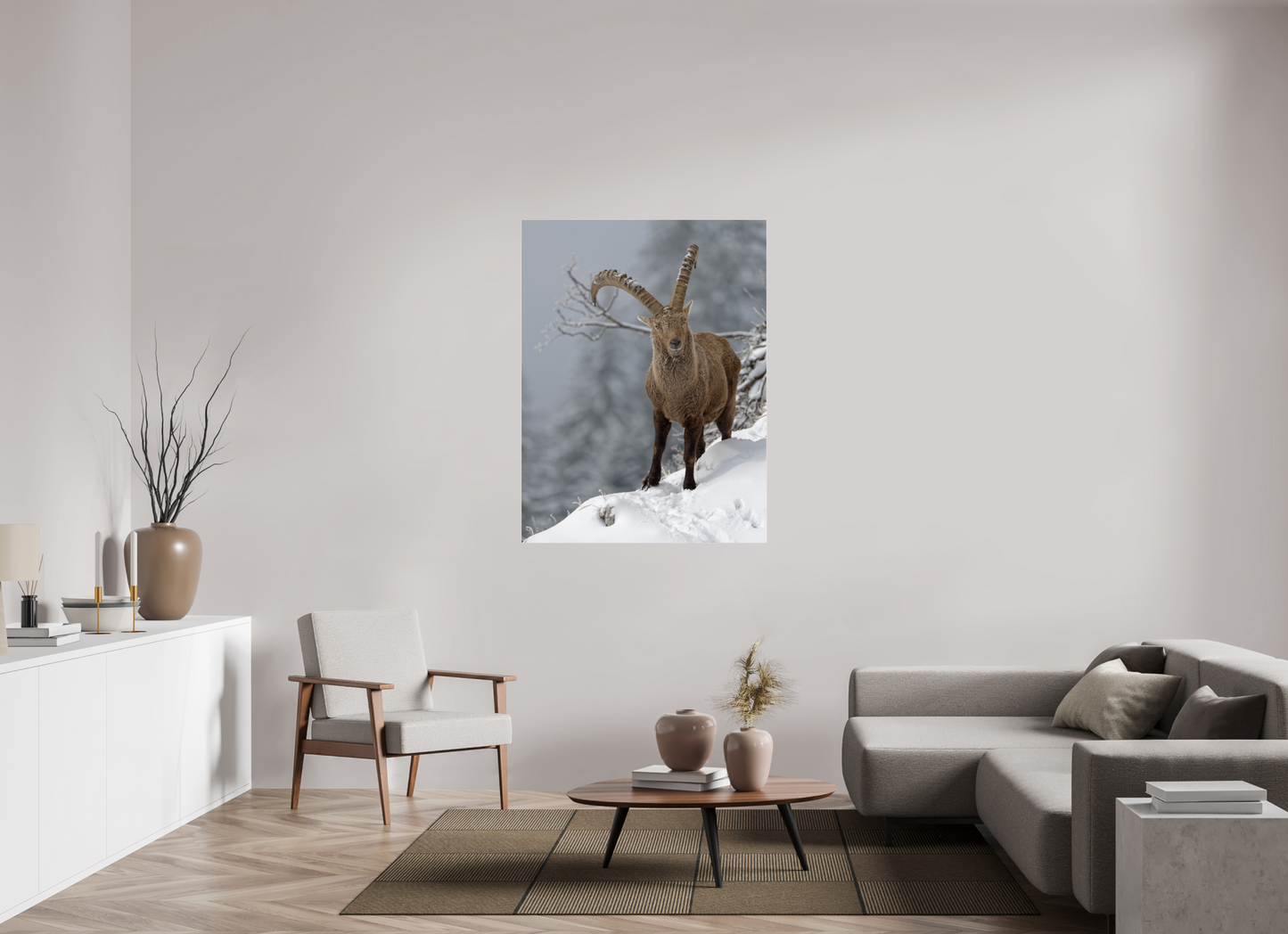 Bouquetin / Ibex