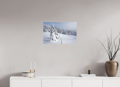 Hiver / Winter
