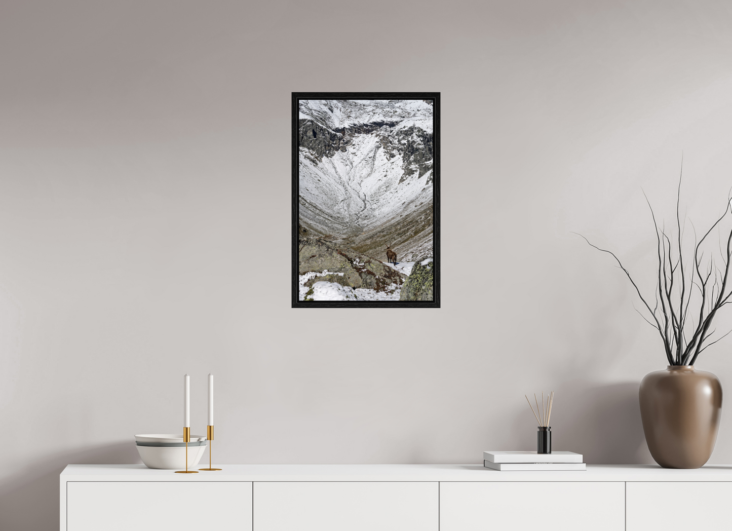 Bouquetin / Ibex