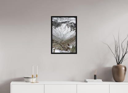 Bouquetin / Ibex