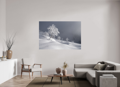 Hiver / Winter
