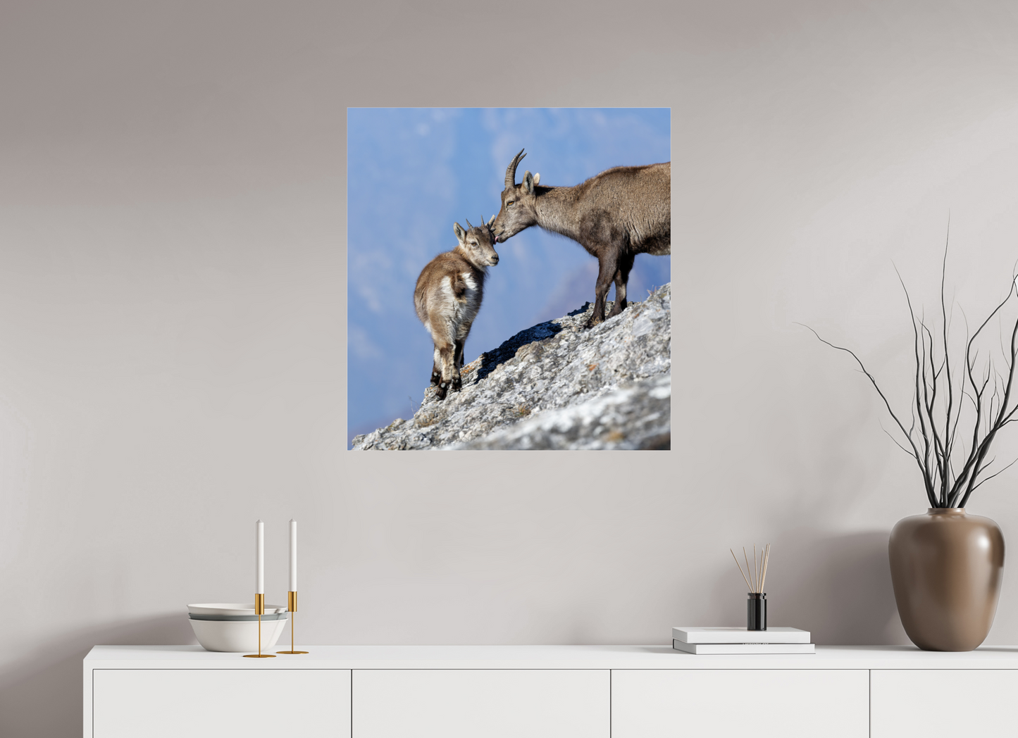 Bouquetin / Ibex