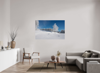 Hiver / Winter