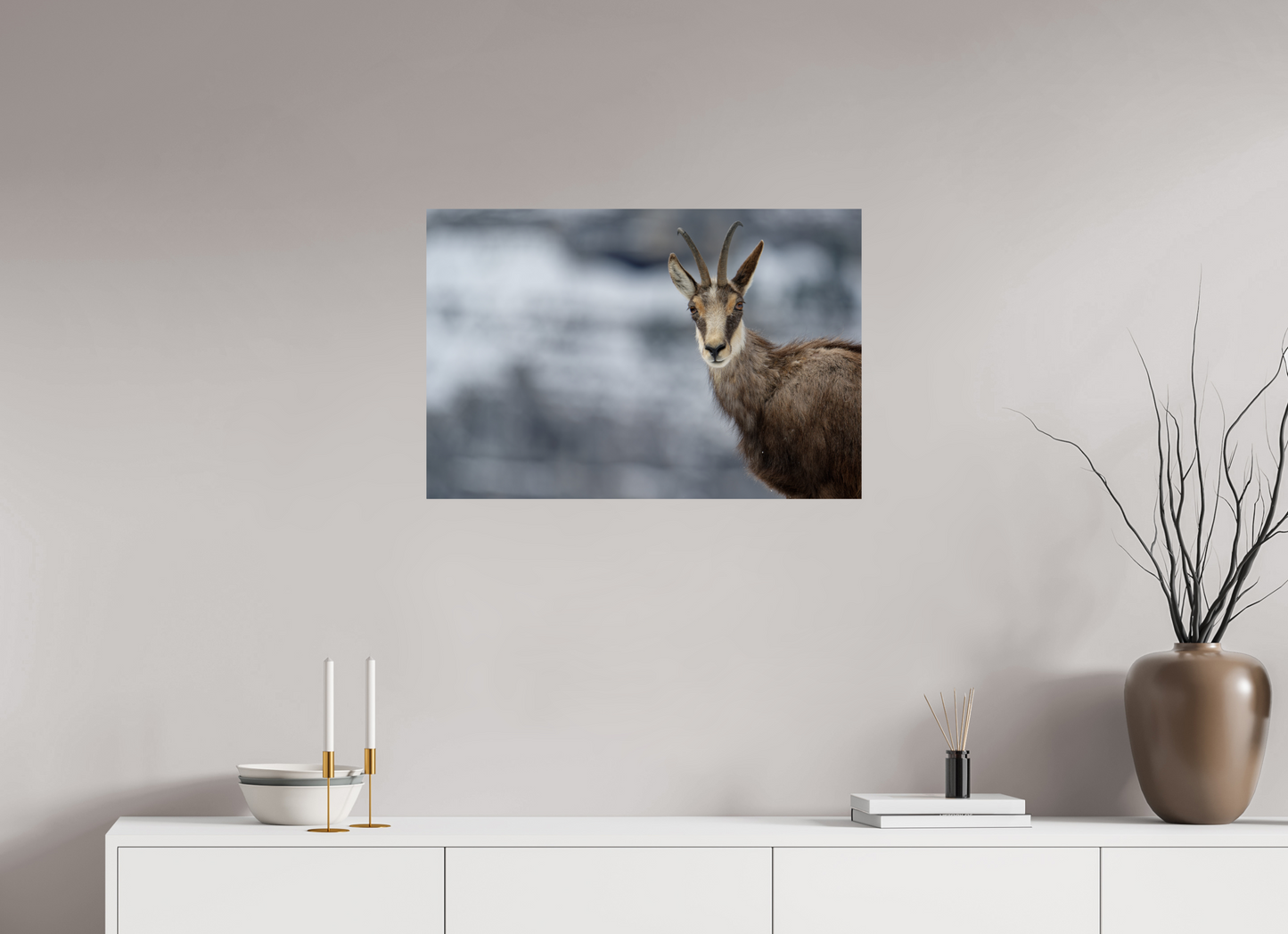Chamois