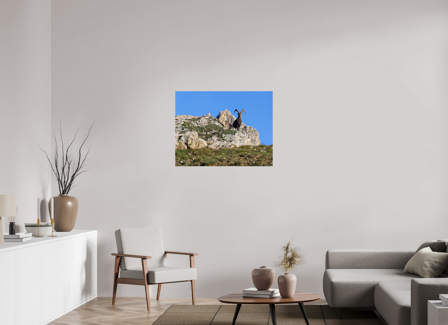 Bouquetin / Ibex