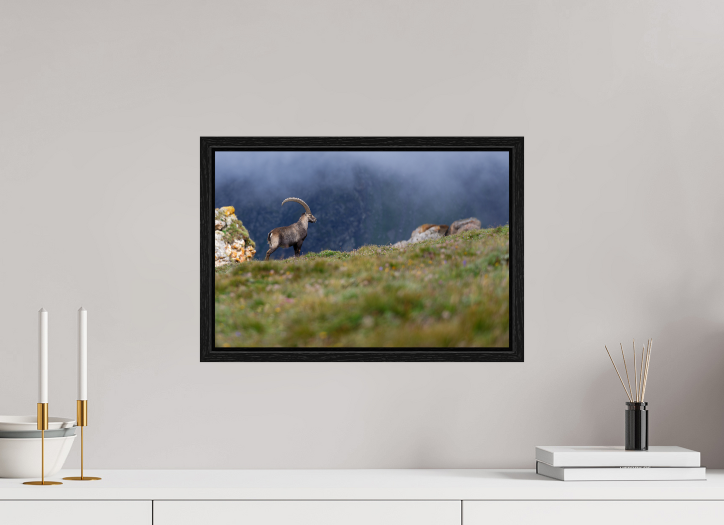Bouquetin / Ibex