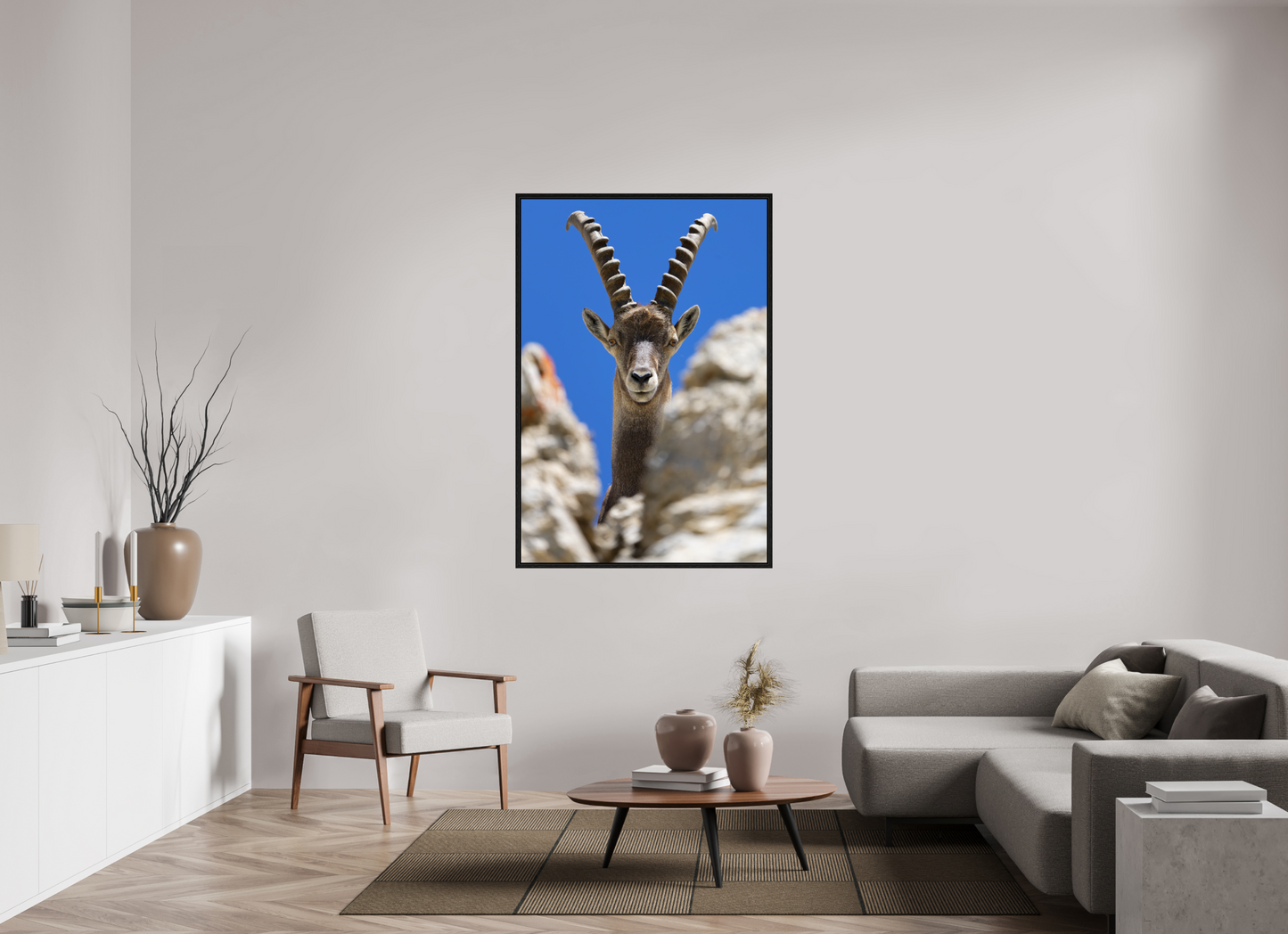 Bouquetin / Ibex