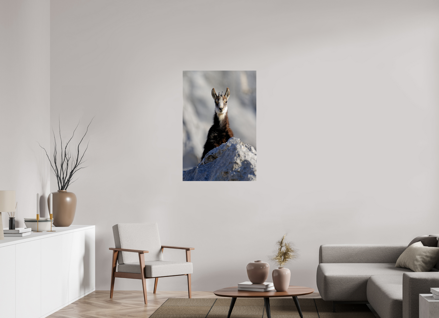 Chamois