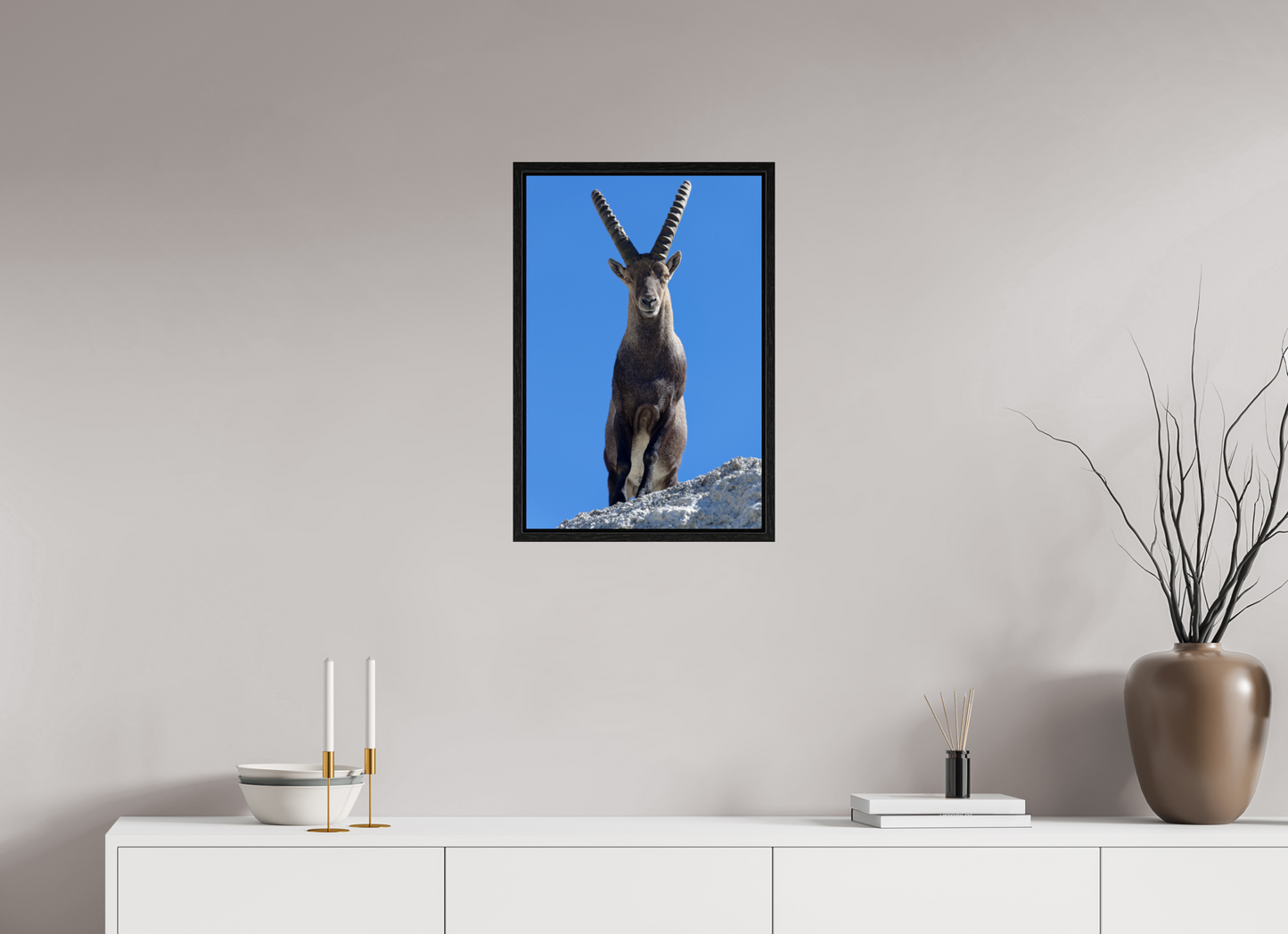 Bouquetin / Ibex