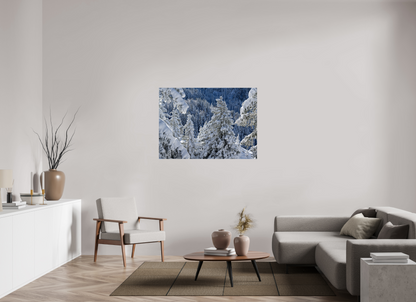 Hiver / Winter