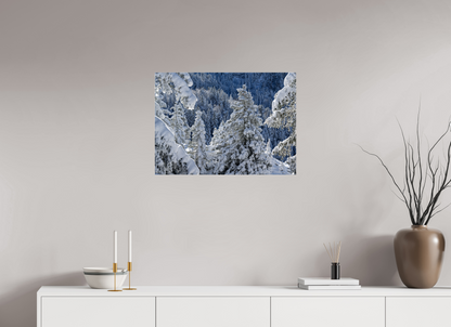 Hiver / Winter