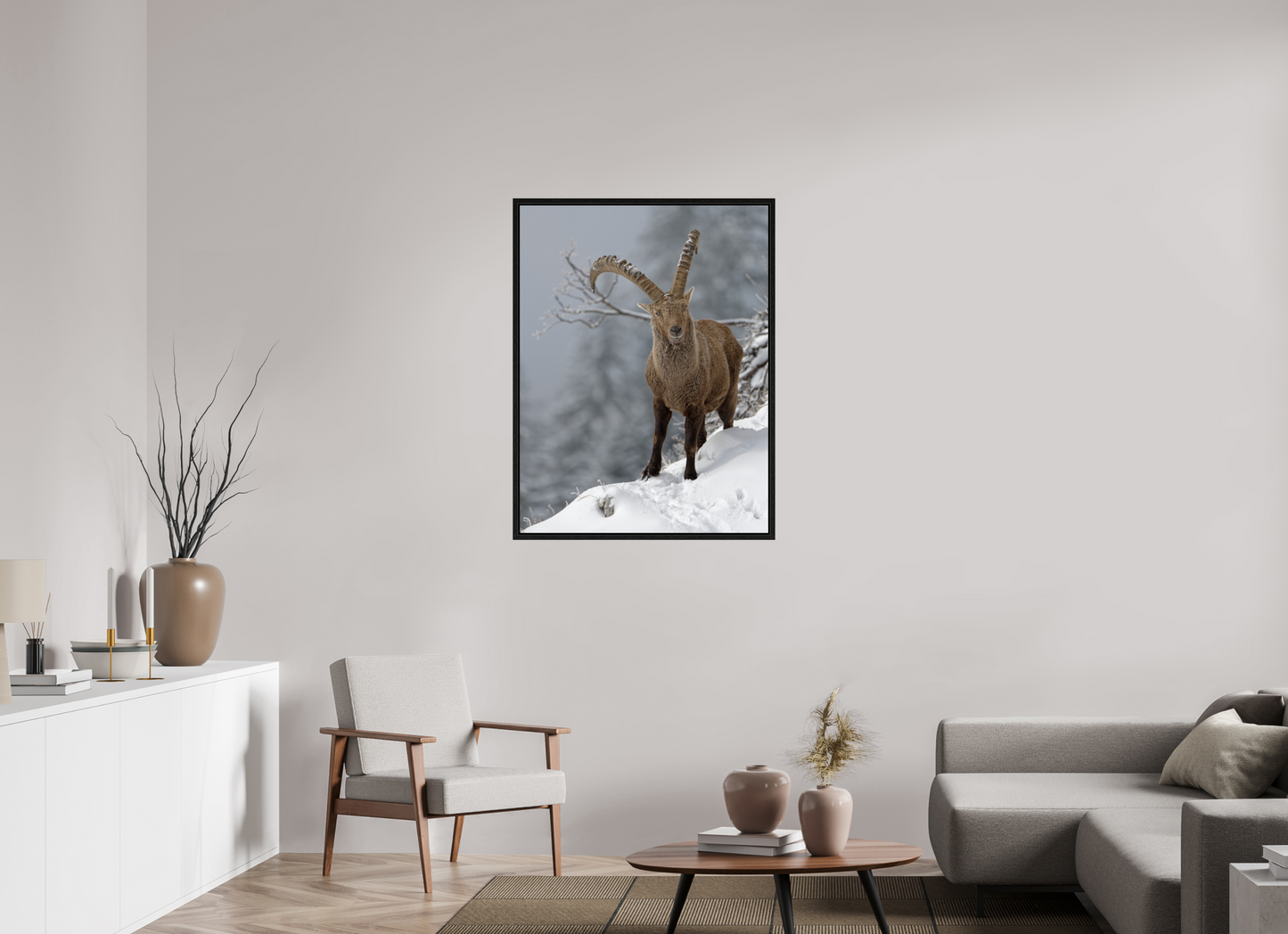 Bouquetin / Ibex