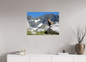 Bouquetin / Ibex