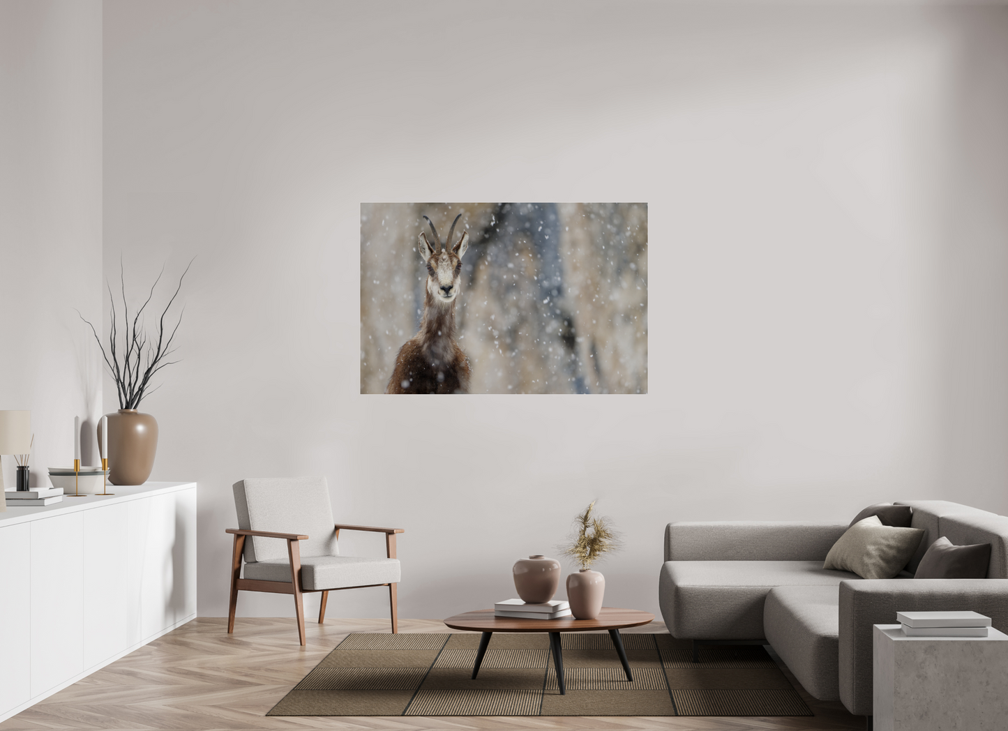 Chamois