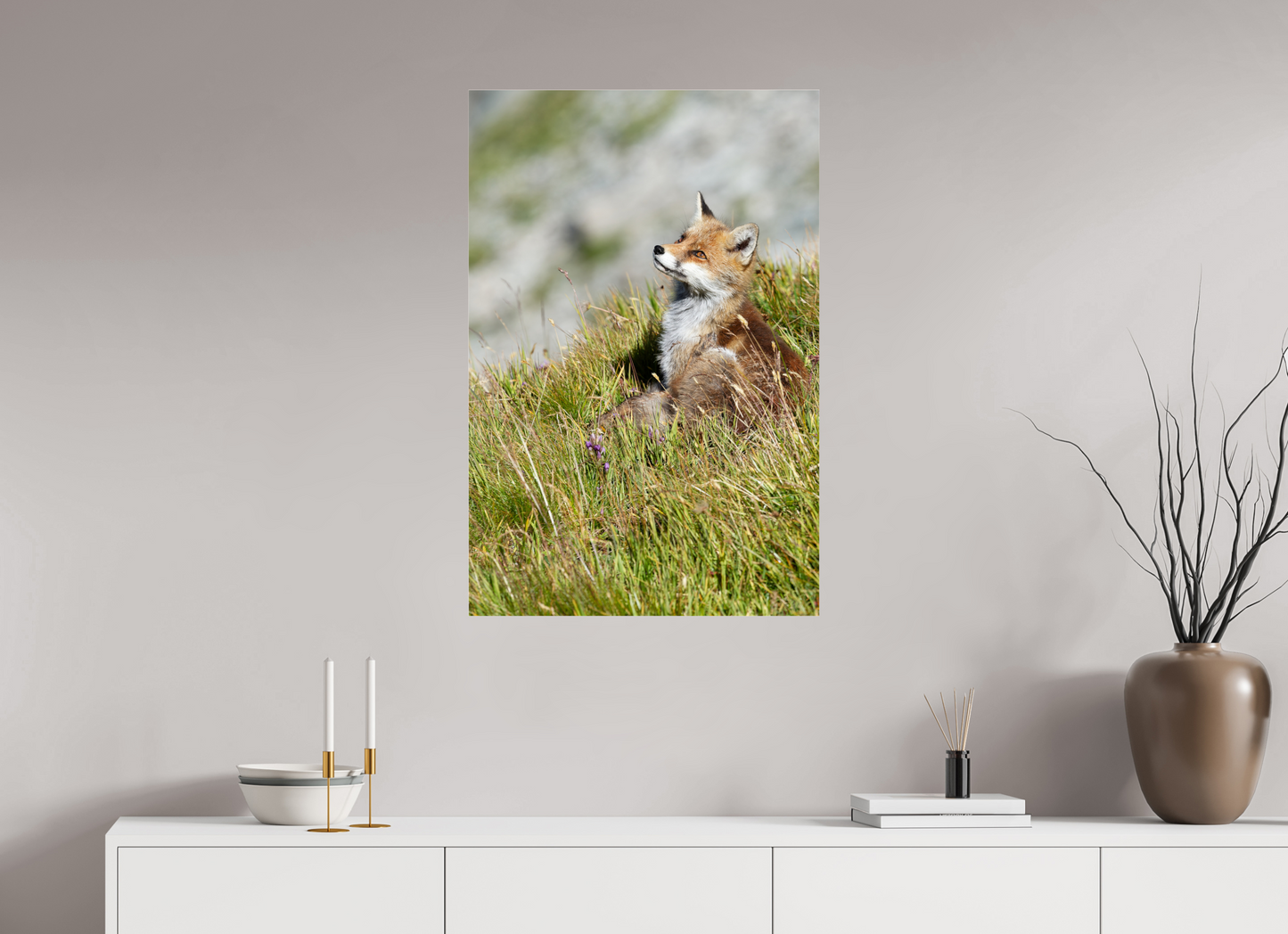 Autres animaux / Other animals