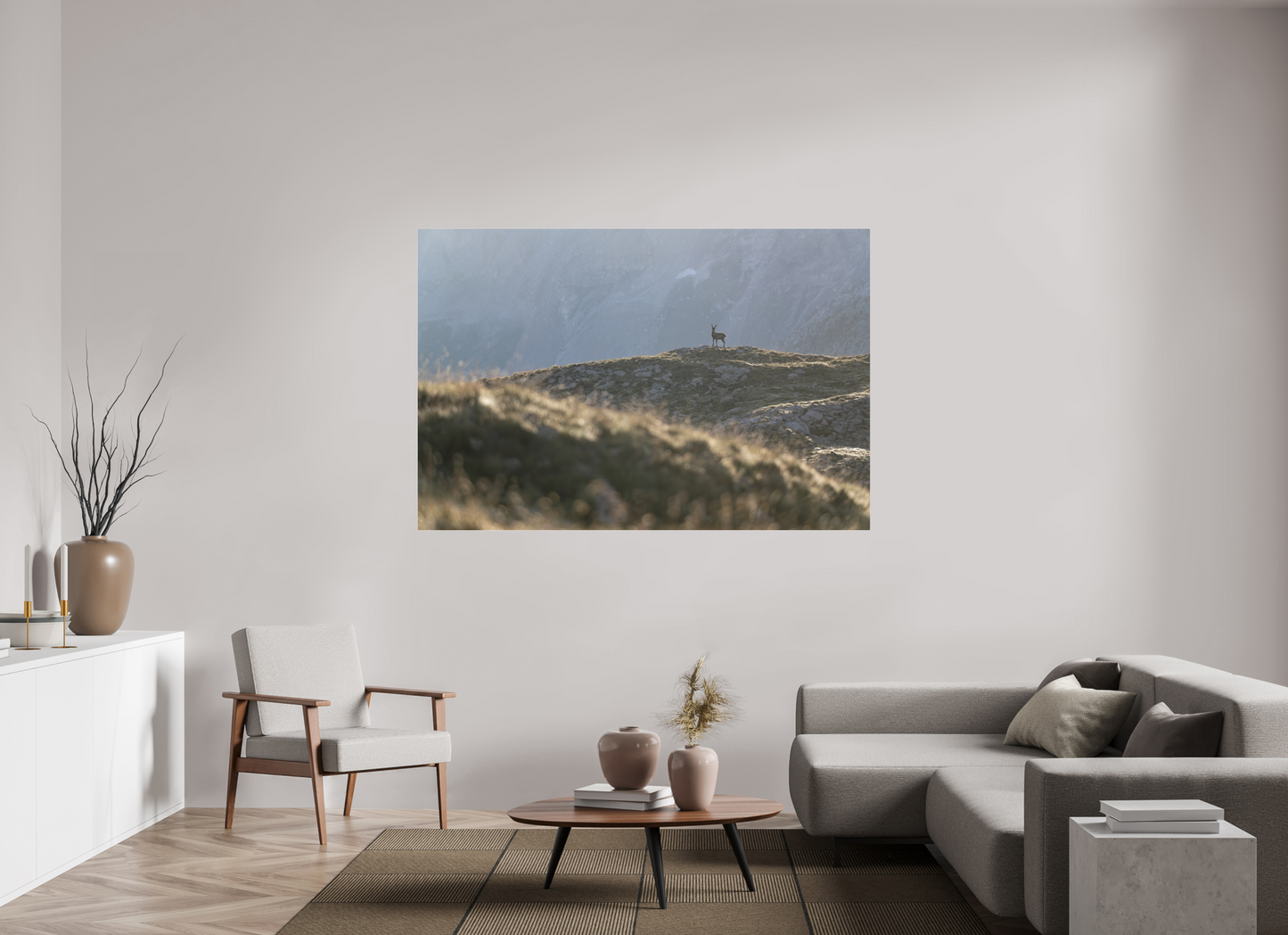 Bouquetin / Ibex