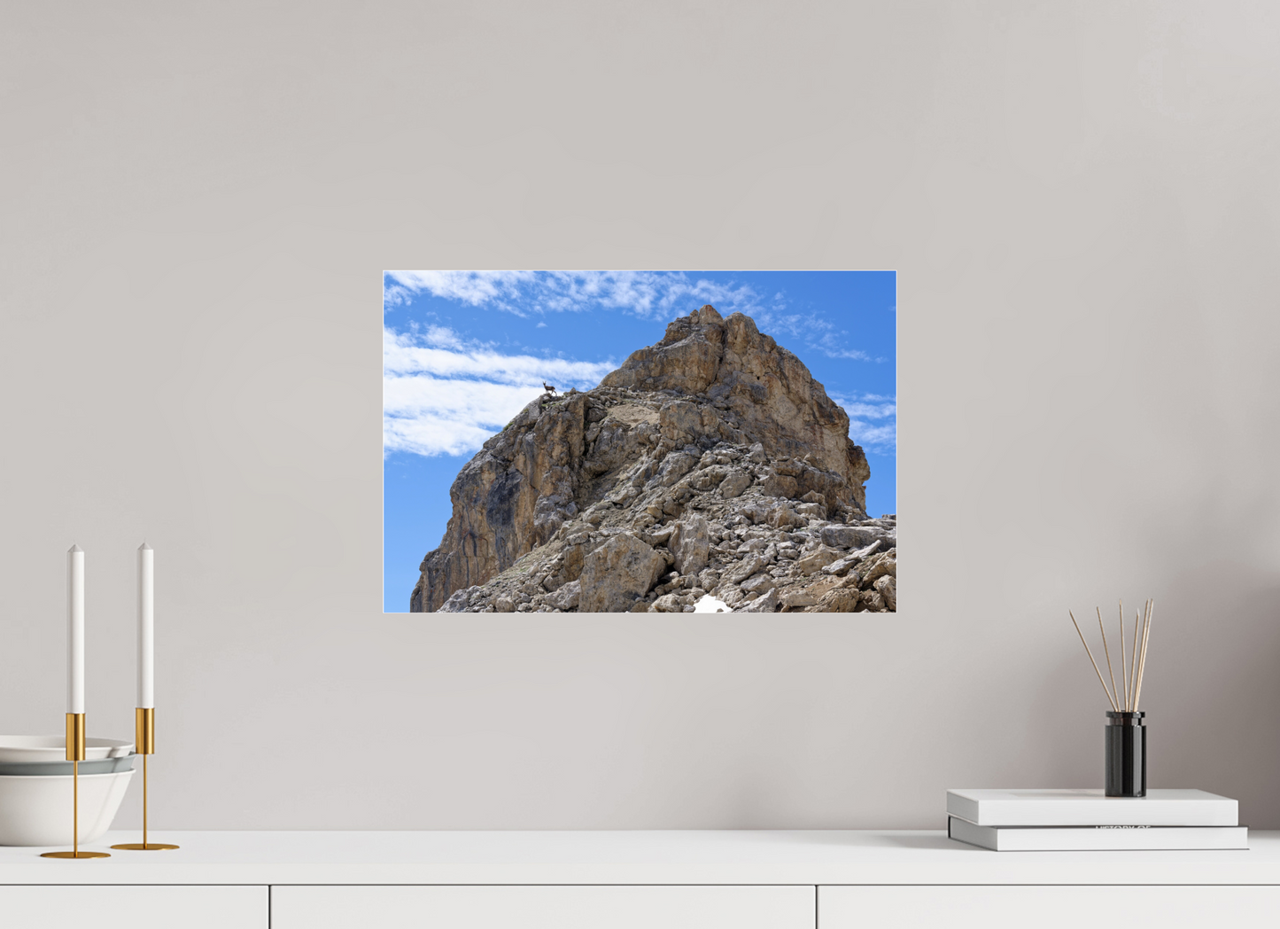 Bouquetin / Ibex