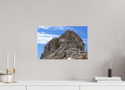 Bouquetin / Ibex