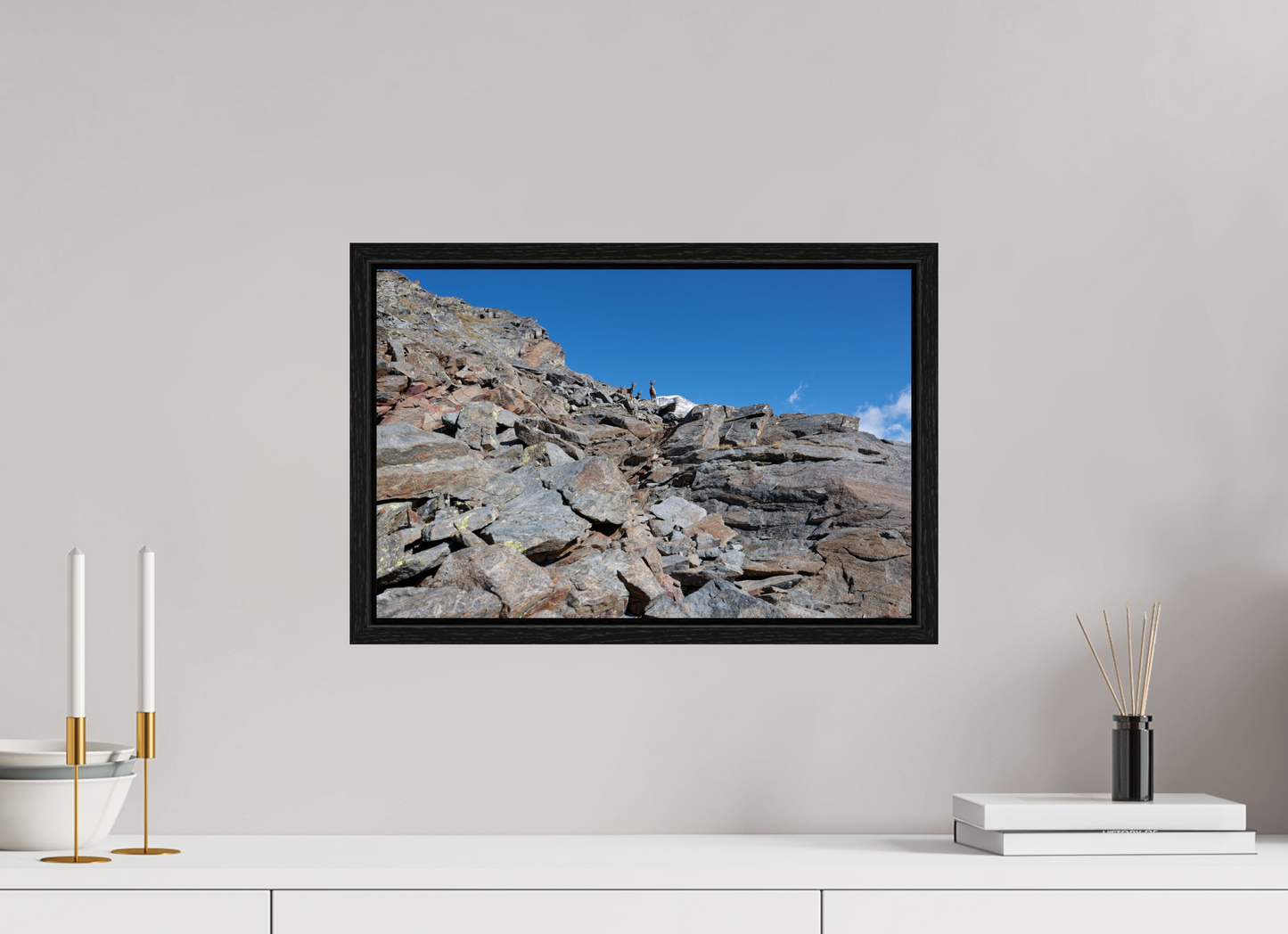 Bouquetin / Ibex