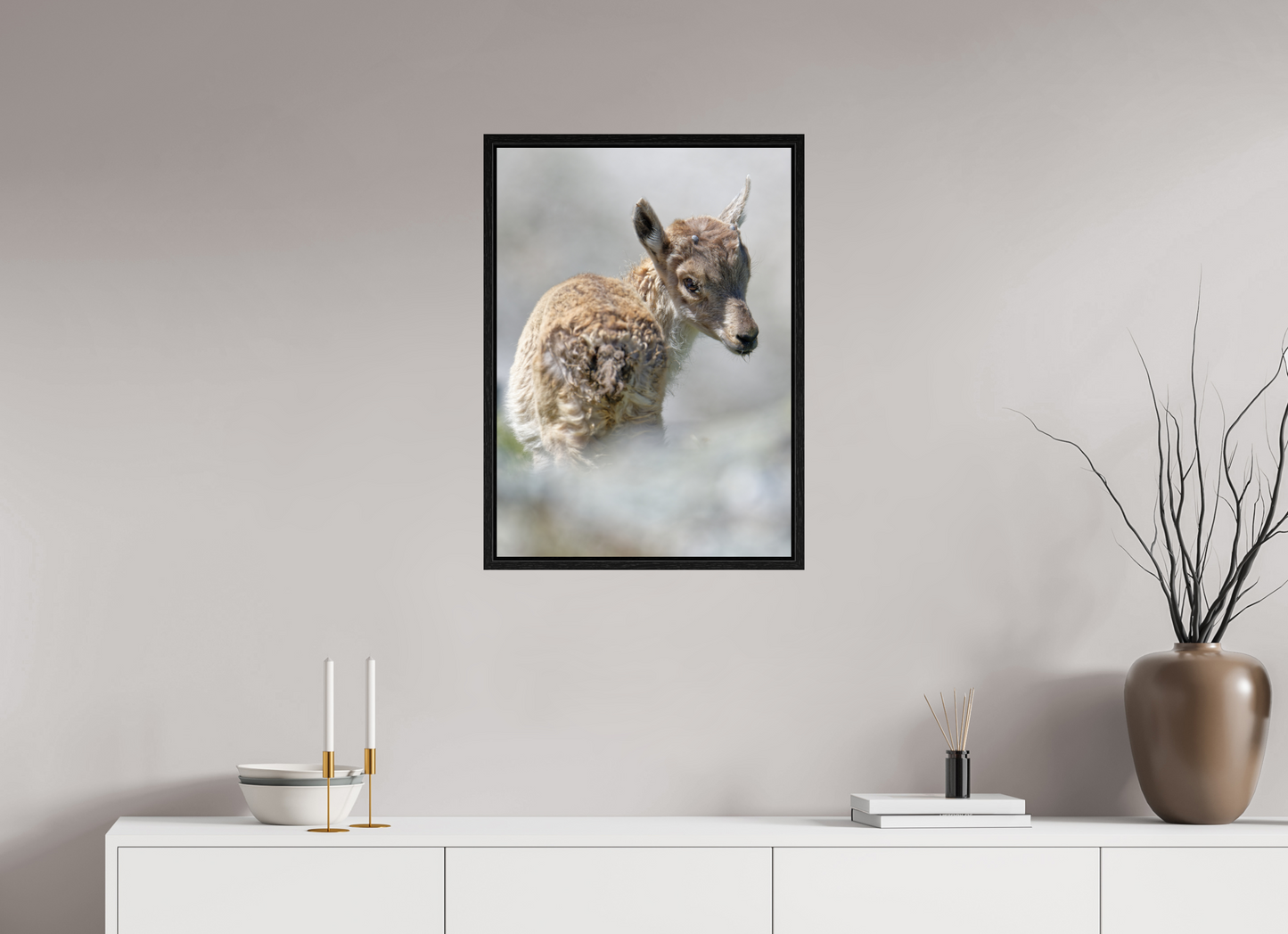 Bouquetin / Ibex