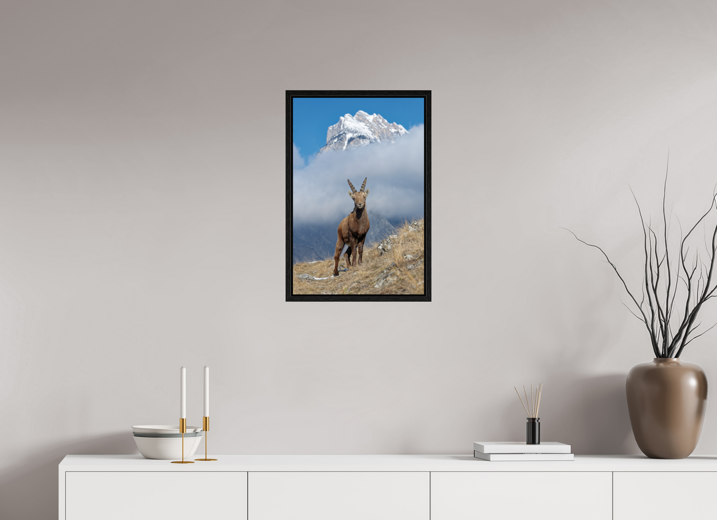 Bouquetin / Ibex