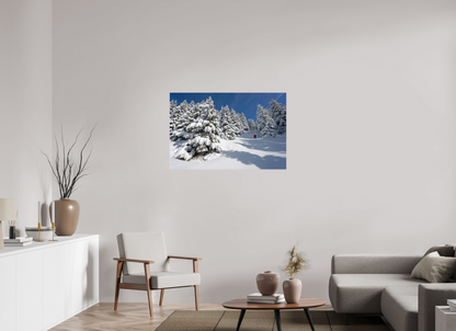 Hiver / Winter