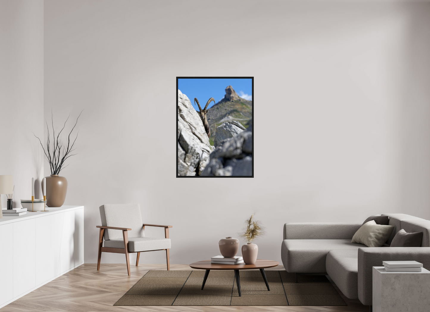 Bouquetin / Ibex