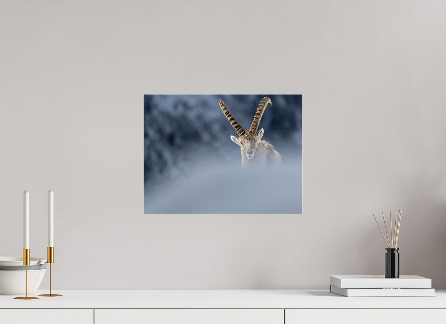 Bouquetin / Ibex