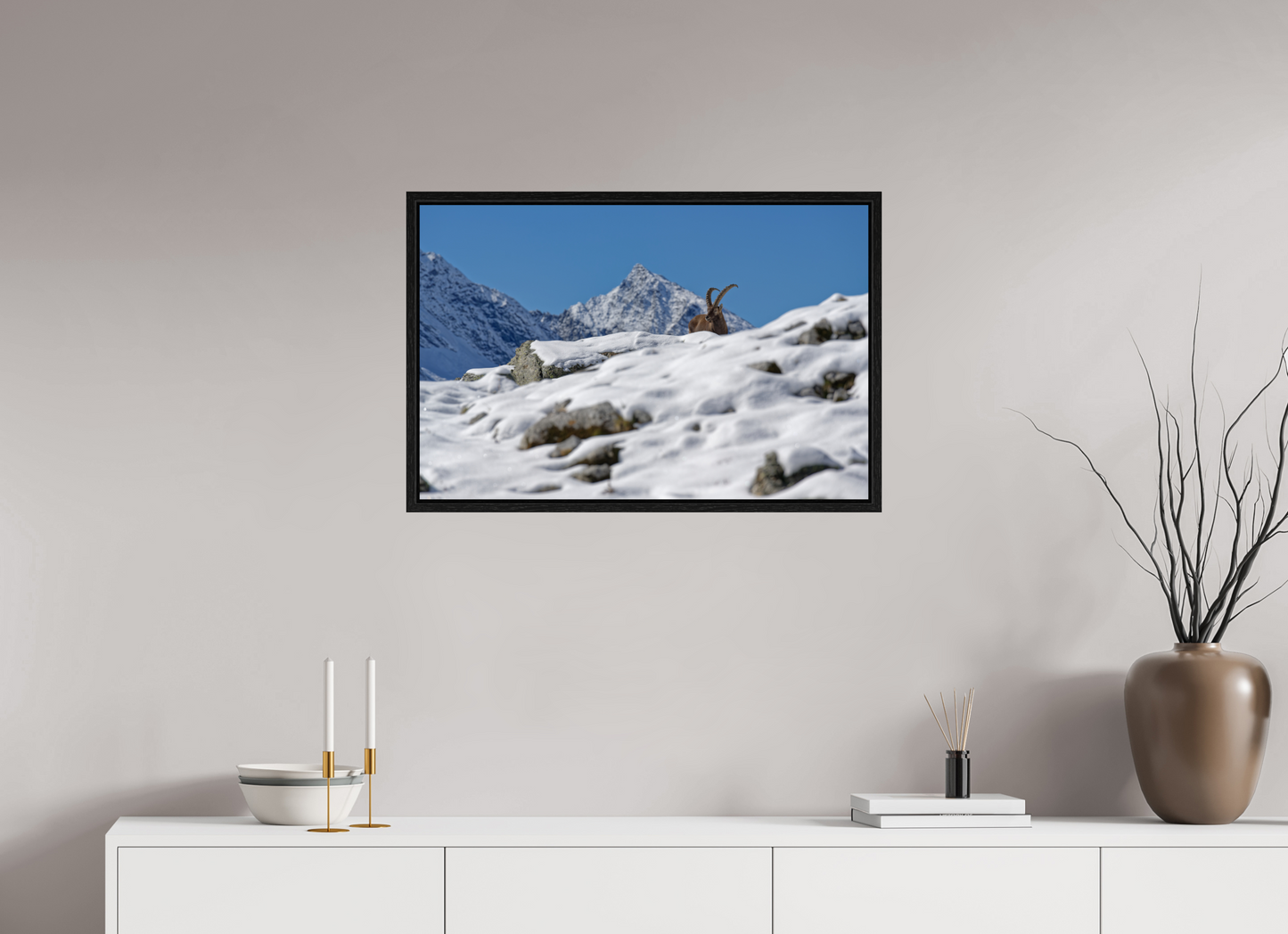Bouquetin / Ibex