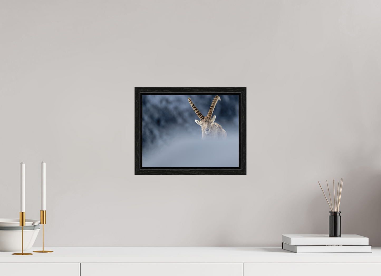 Bouquetin / Ibex