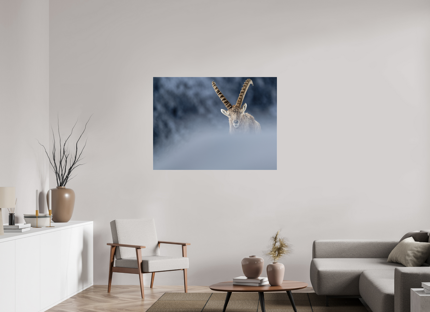 Bouquetin / Ibex
