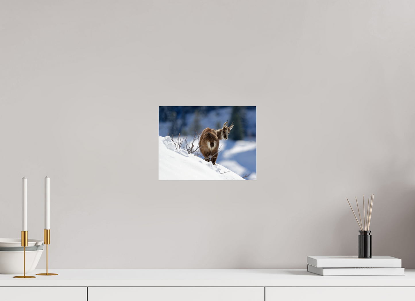 Chamois