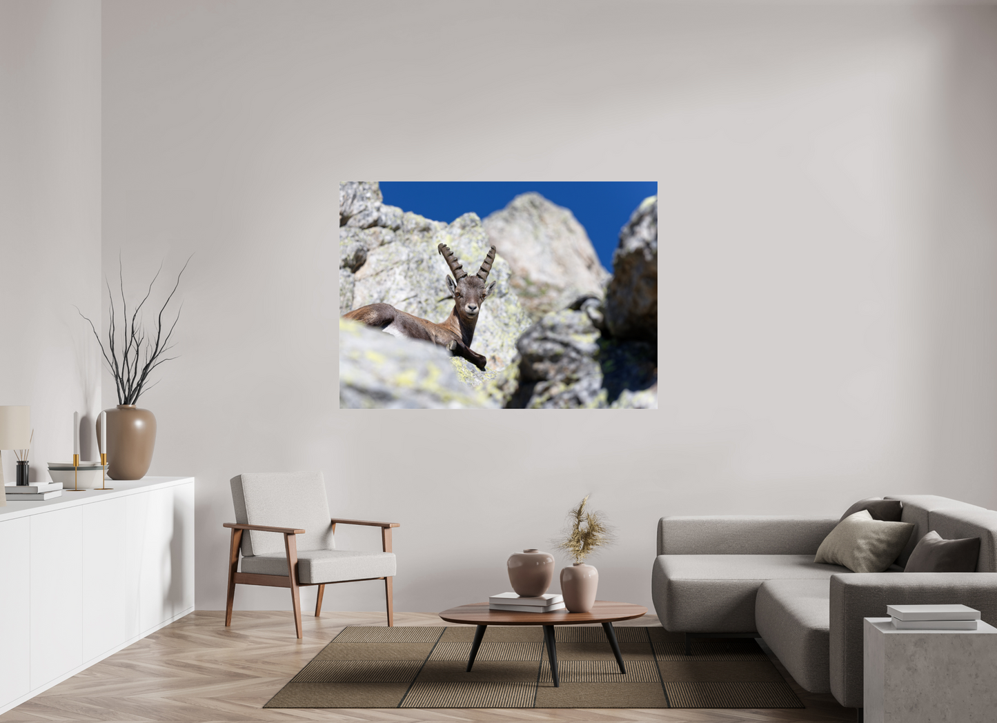 Bouquetin / Ibex
