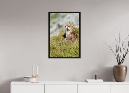 Autres animaux / Other animals