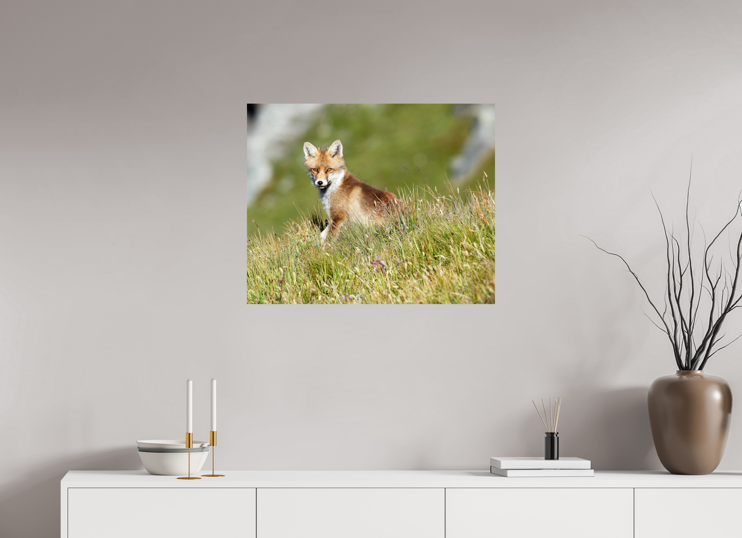 Autres animaux / Other animals