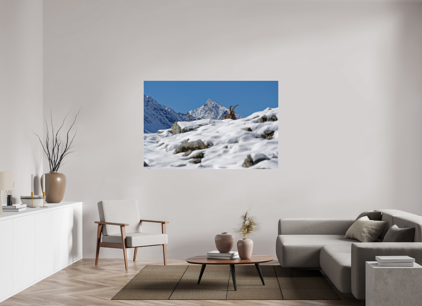 Bouquetin / Ibex