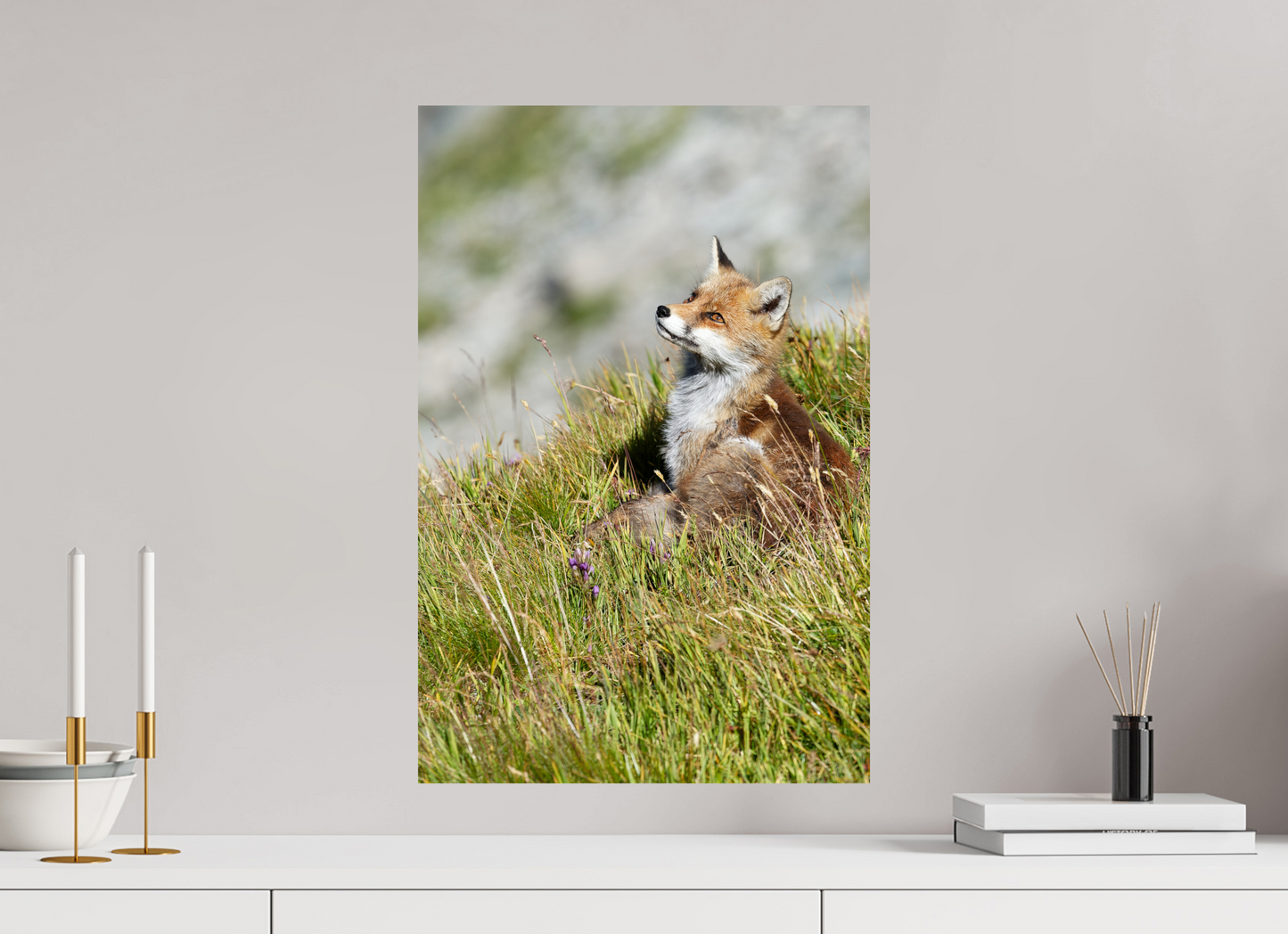 Autres animaux / Other animals