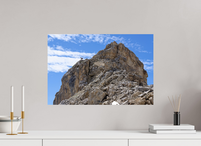 Bouquetin / Ibex