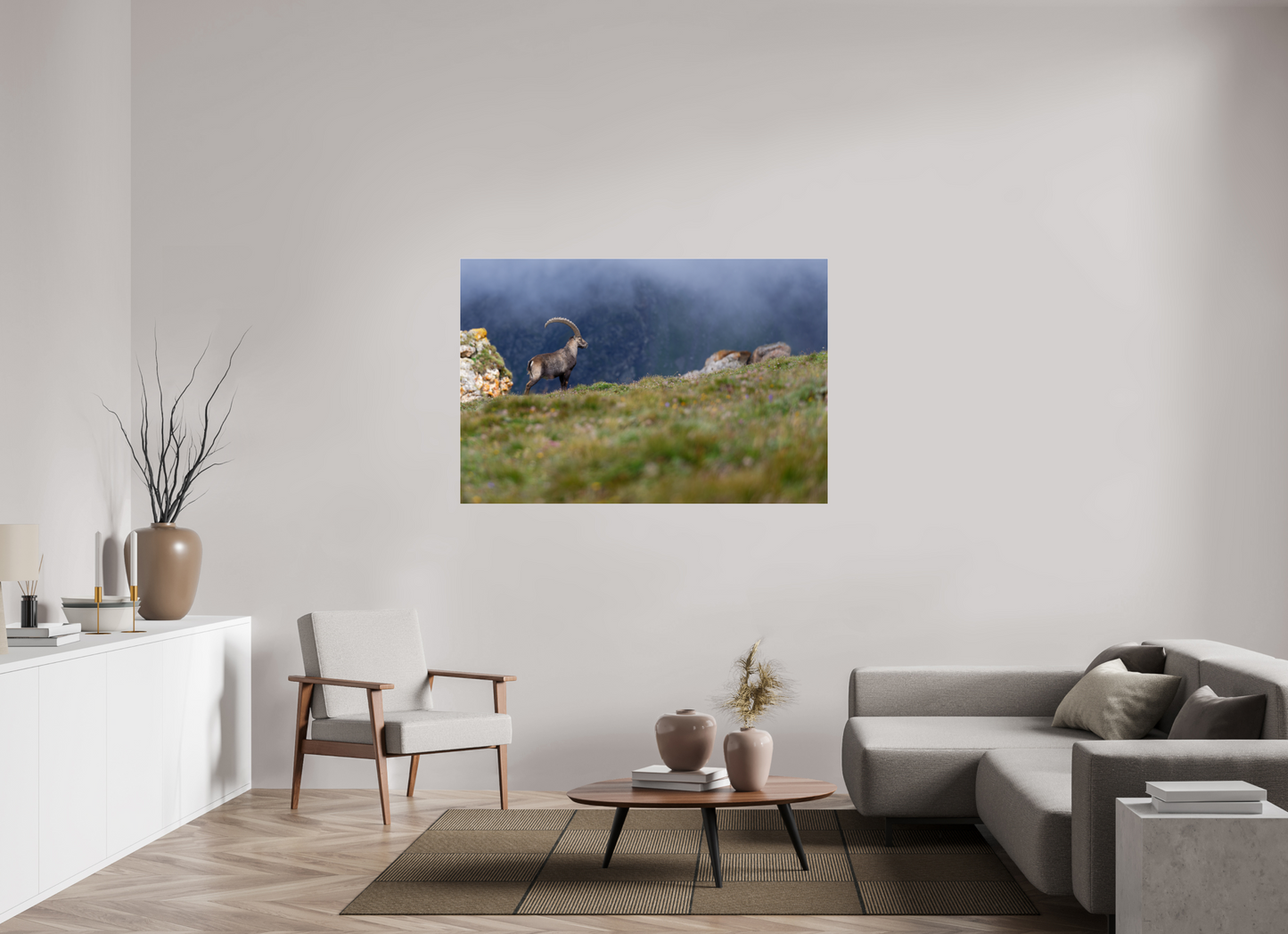 Bouquetin / Ibex