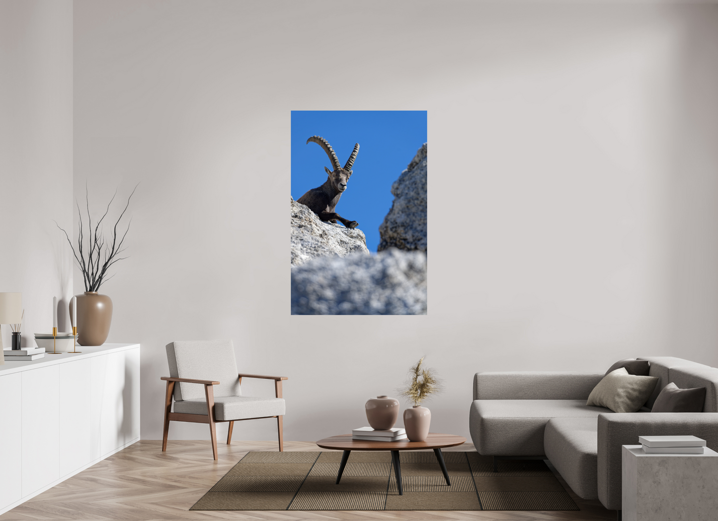 Bouquetin / Ibex