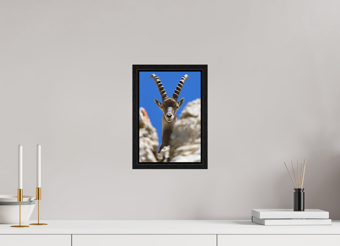 Bouquetin / Ibex