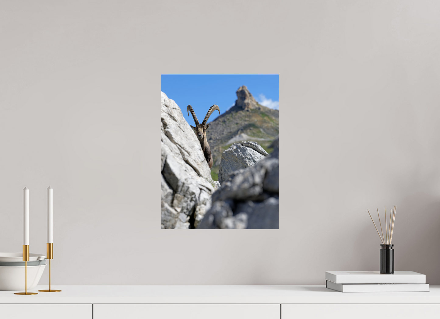 Bouquetin / Ibex