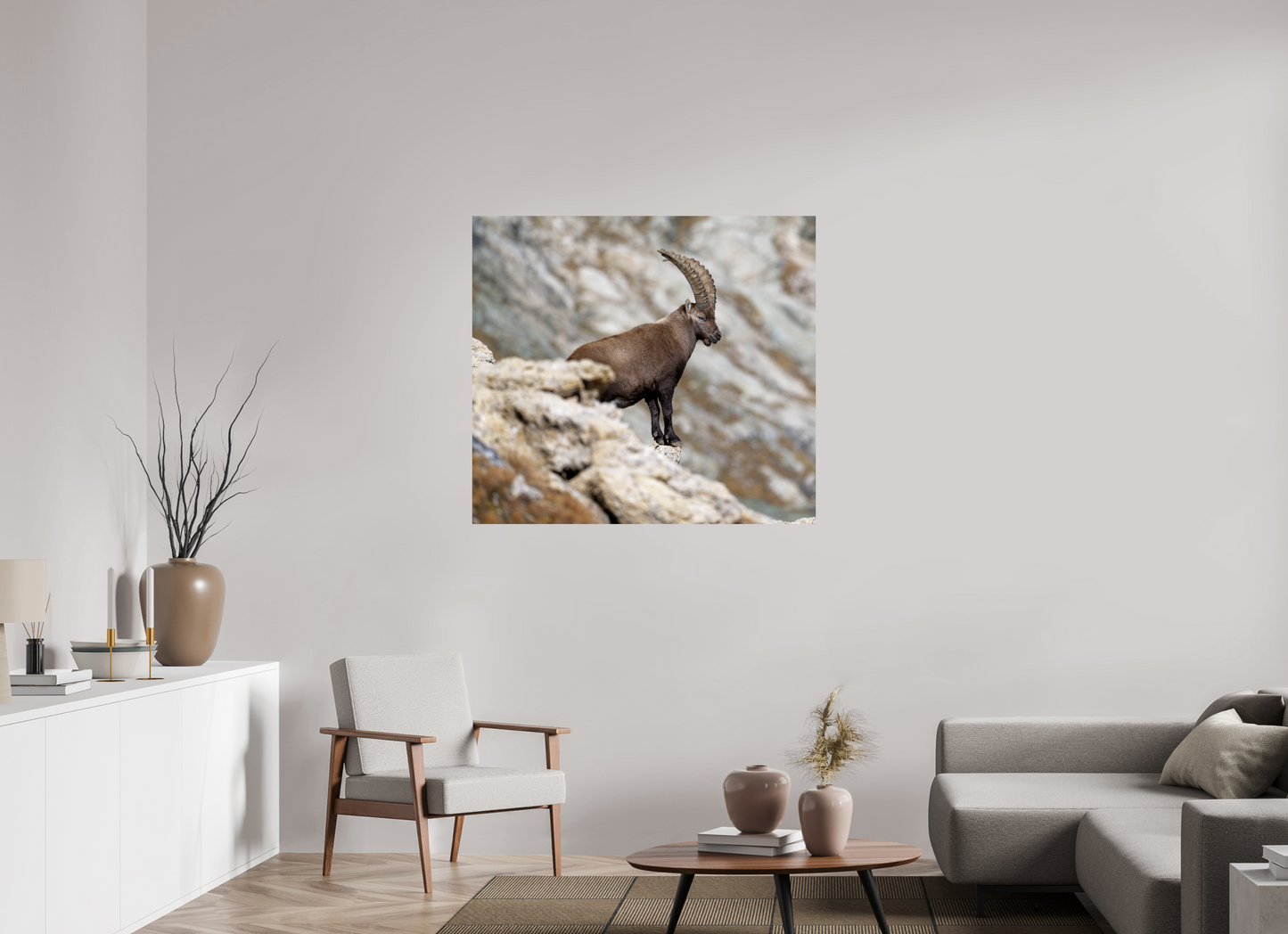 Bouquetin / Ibex