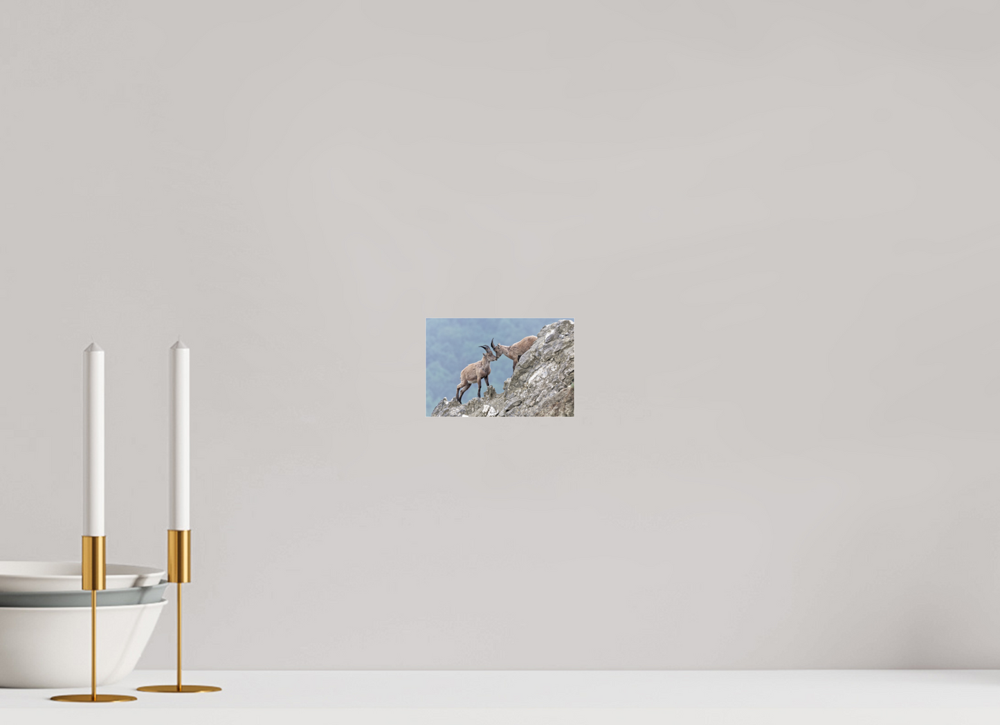 Bouquetin / Ibex