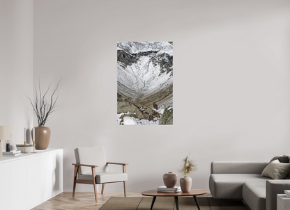 Bouquetin / Ibex
